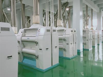 埃塞俄比亞40噸小麥制粉成套項目